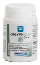 Ergyphilus Conf